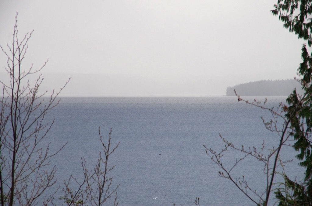 view with no mountain